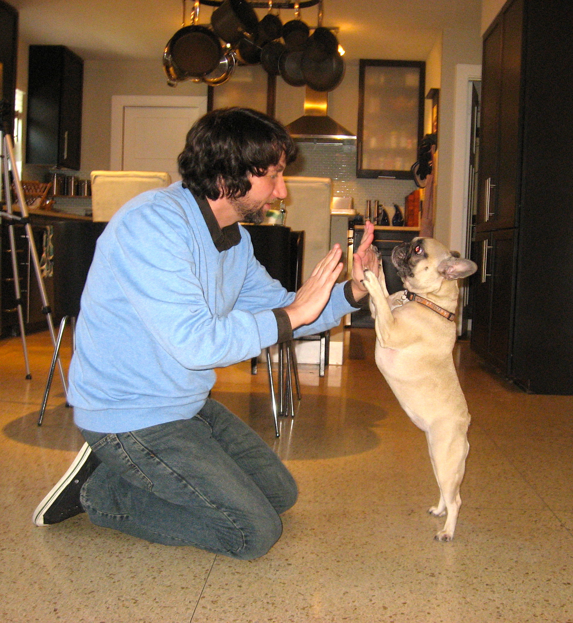 Josh Margolis with French Bulldog Gigi