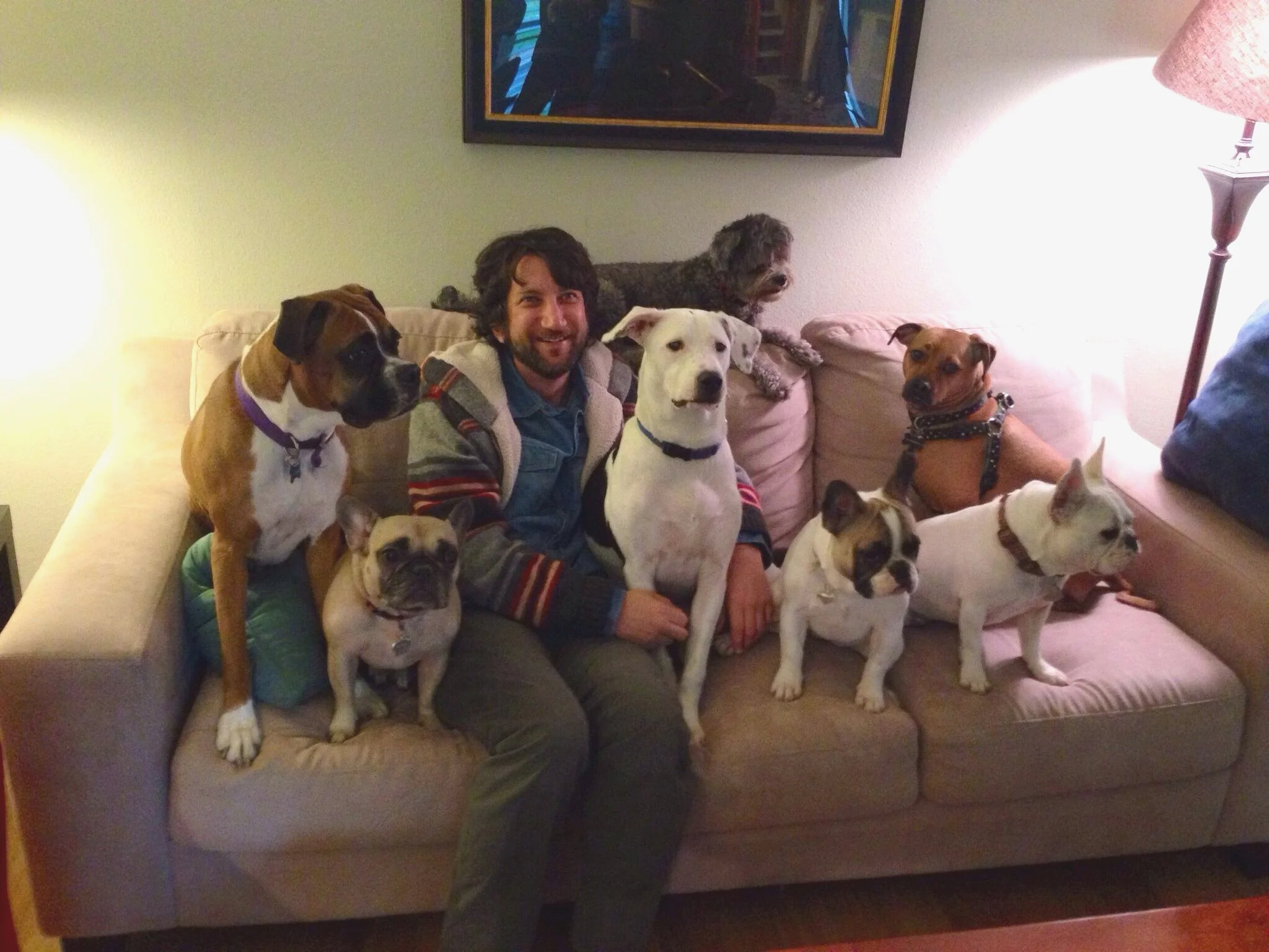 Josh Margolis with French Bulldog Gigi.