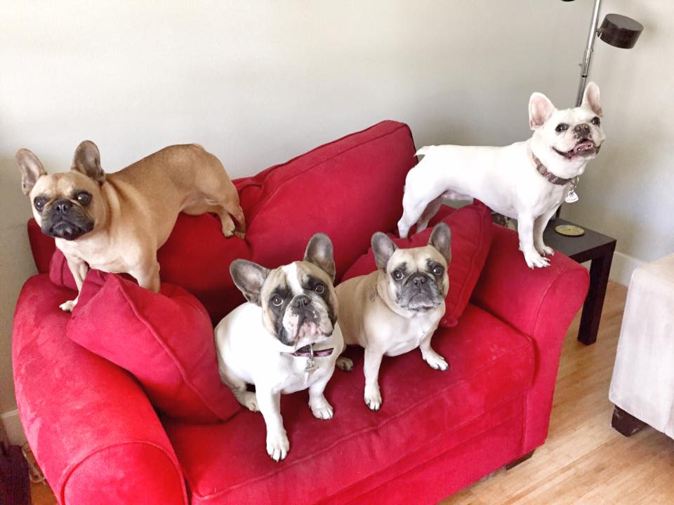 Belle, Dolly, Gigi &amp; Penny