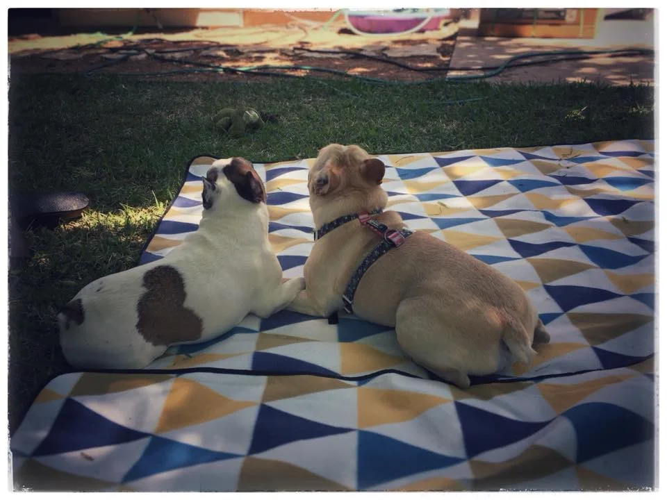 Abby & Rafa.jpg