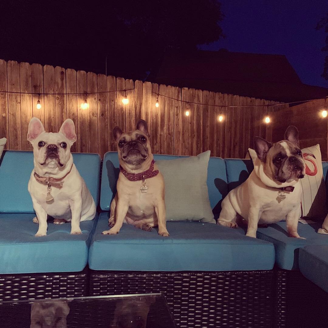 3 frechies outside patio furn.jpg