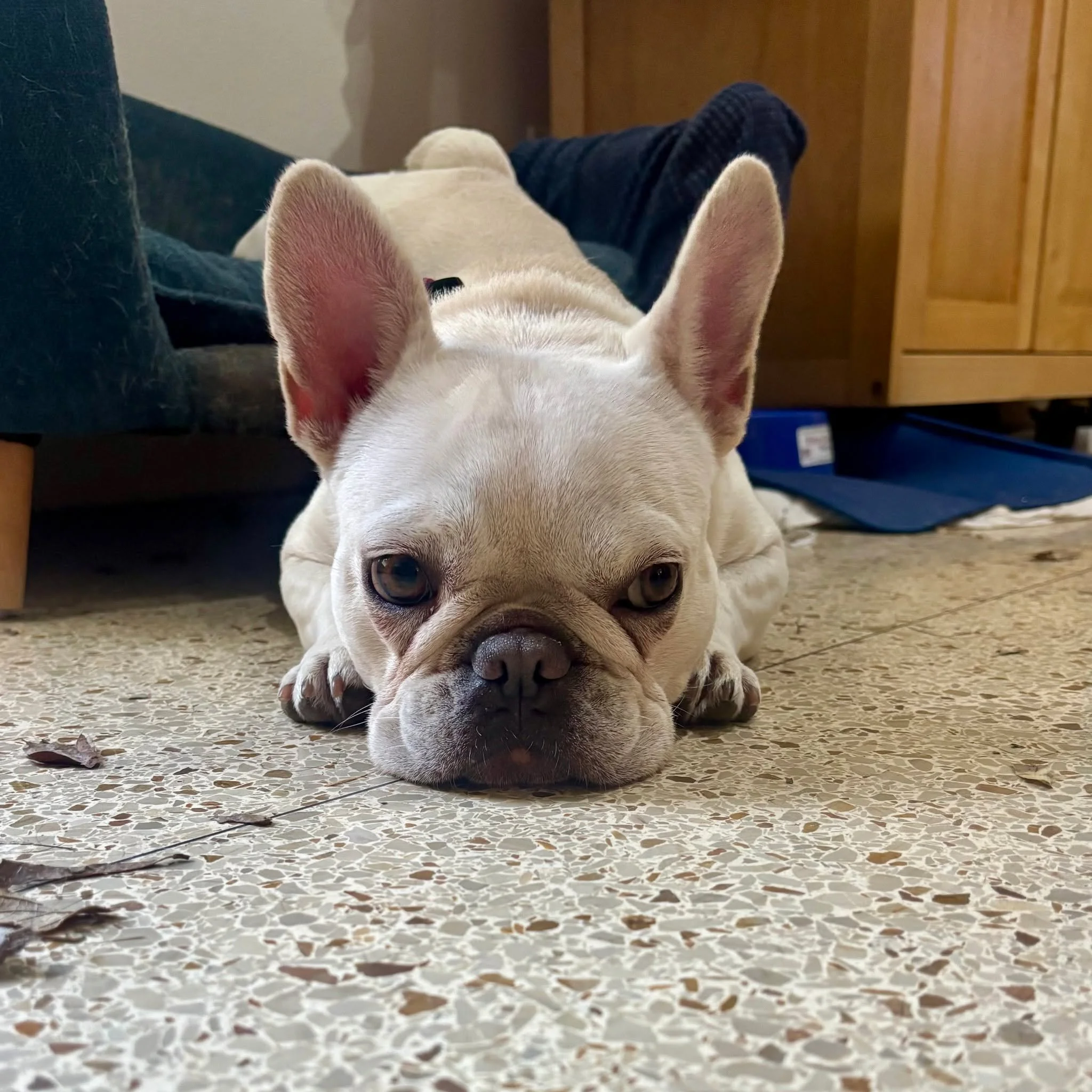 Rachel relaxes