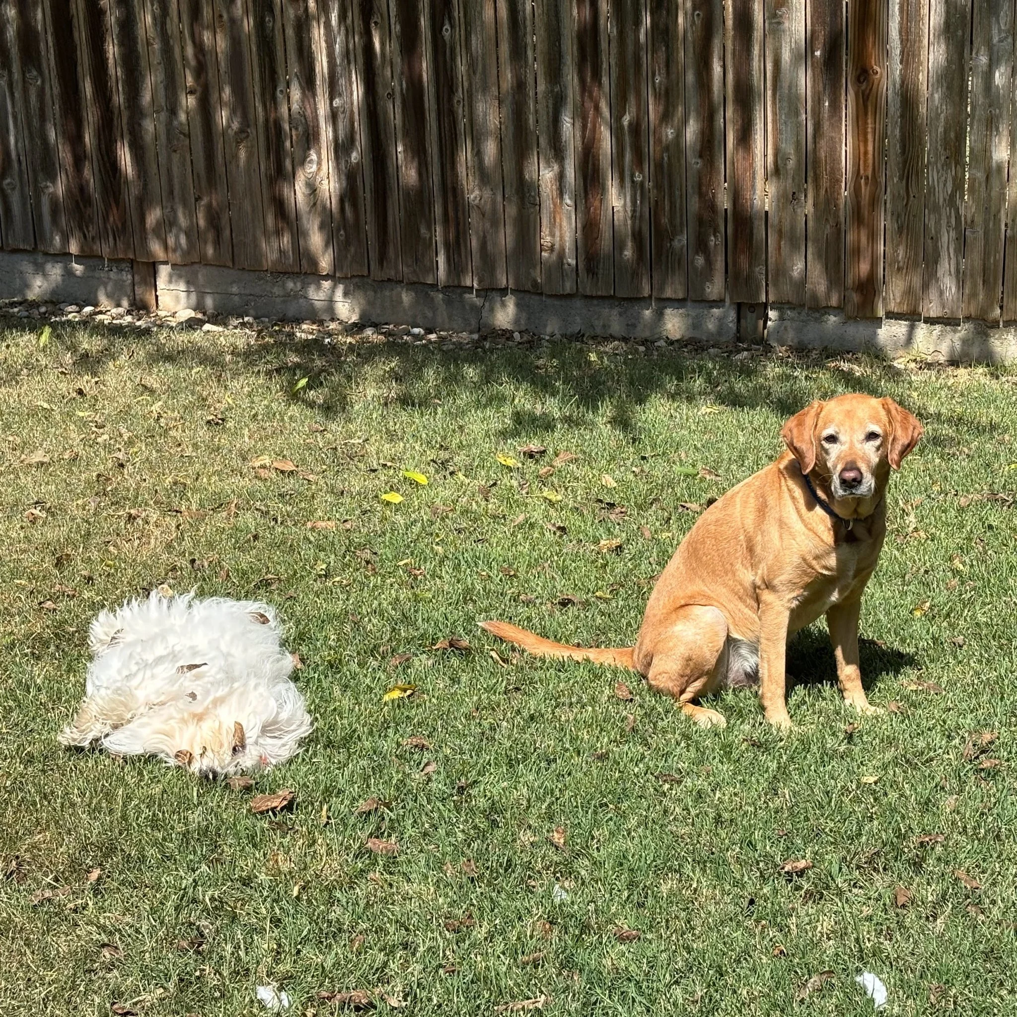 Valerie with her friend Kali!