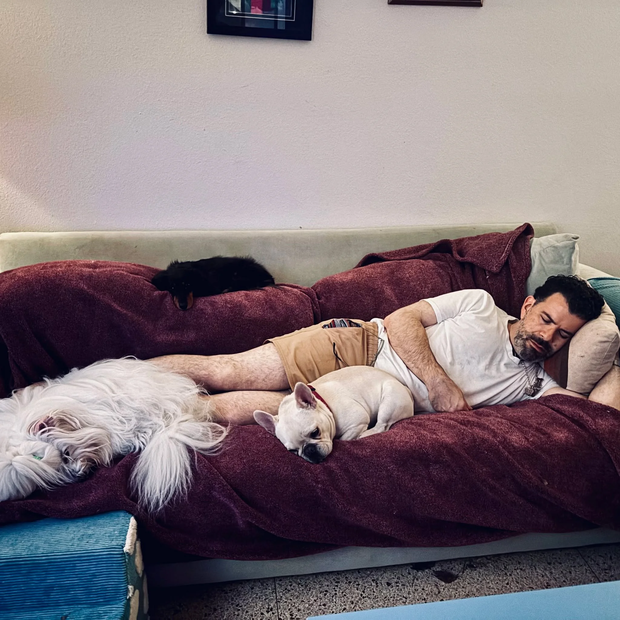Everyone is asleep