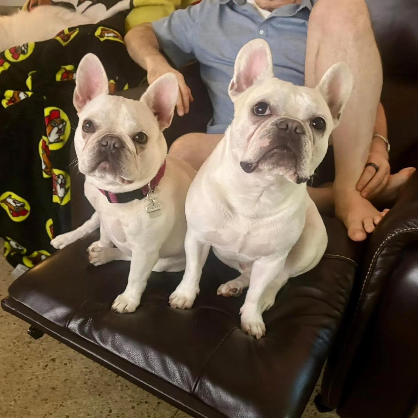 Here&rsquo;s Rachel with her friend Dubu!