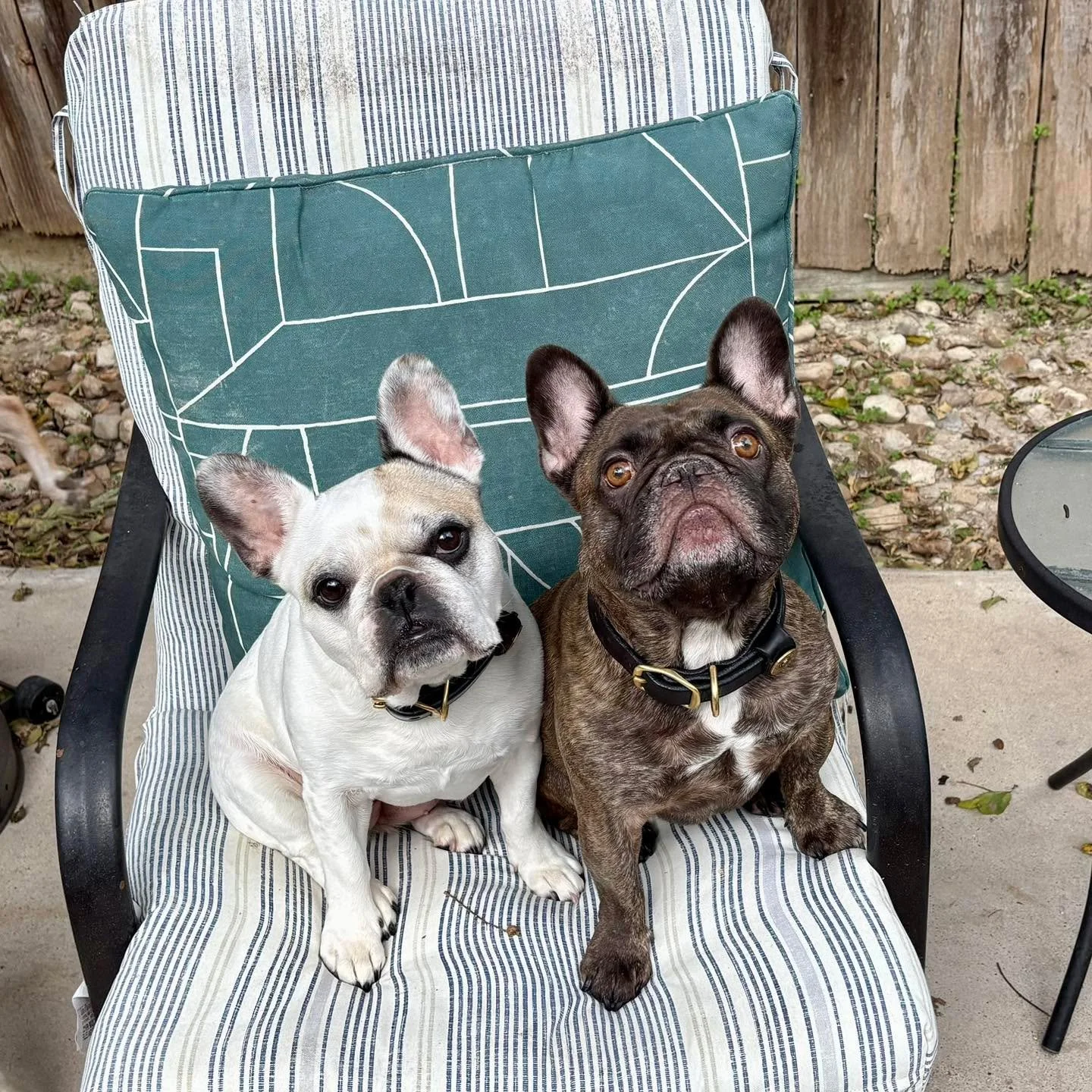 It&rsquo;s a fun time with Rachel, Valerie, Dubu, Martha , George &amp; Lemon!