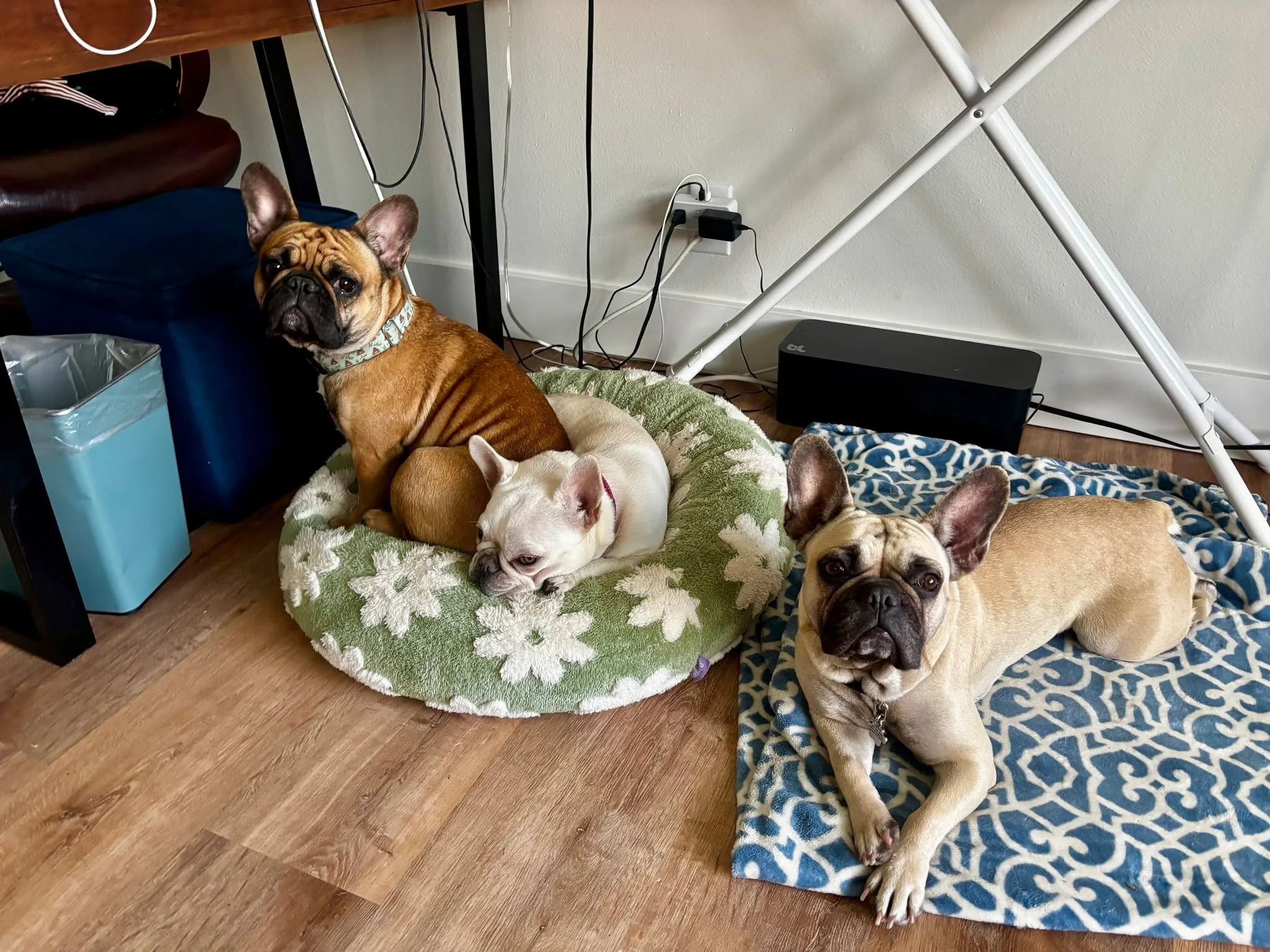 Friends: Bruce, Rachel &amp; Tina!