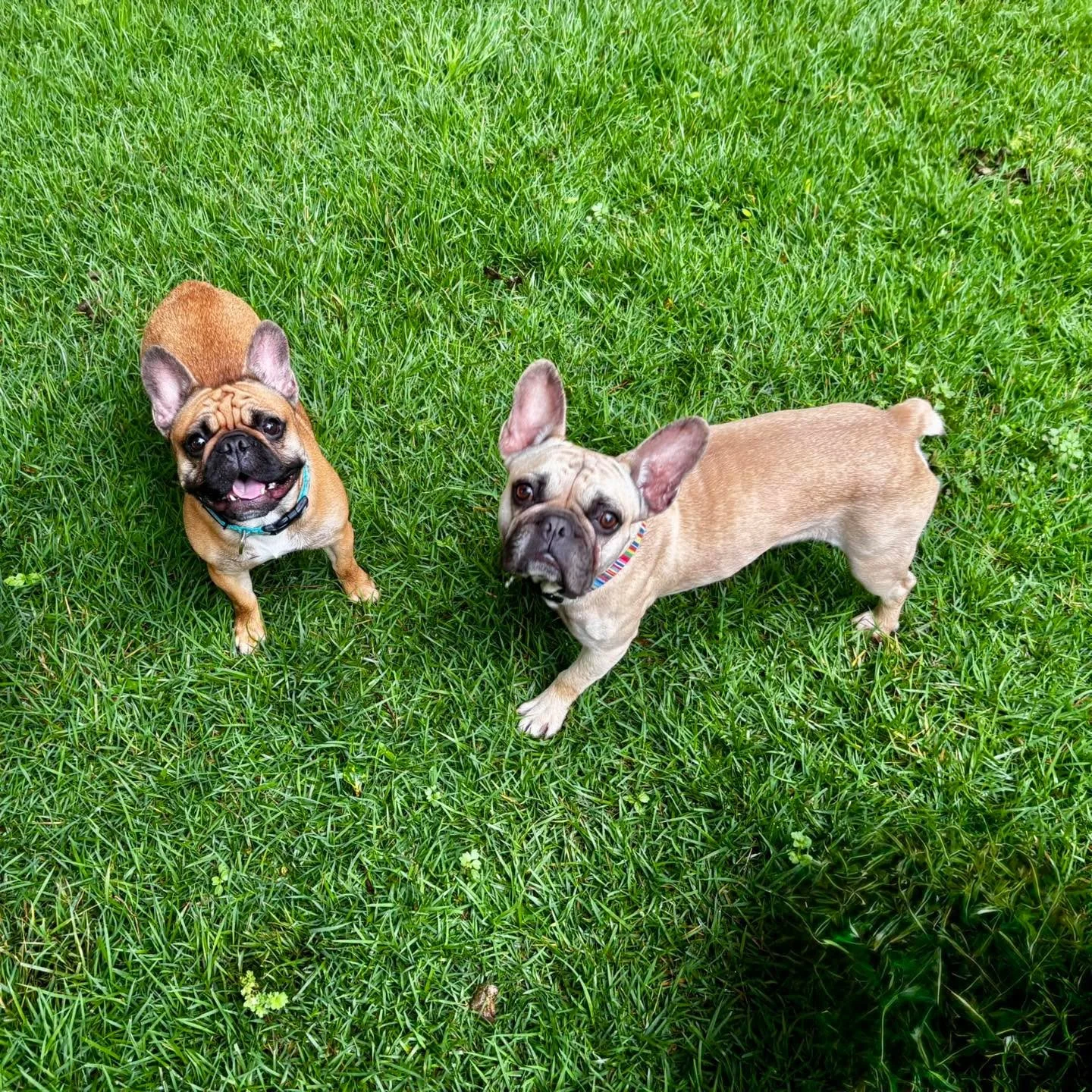 Bruce &amp; Zed are here this week!