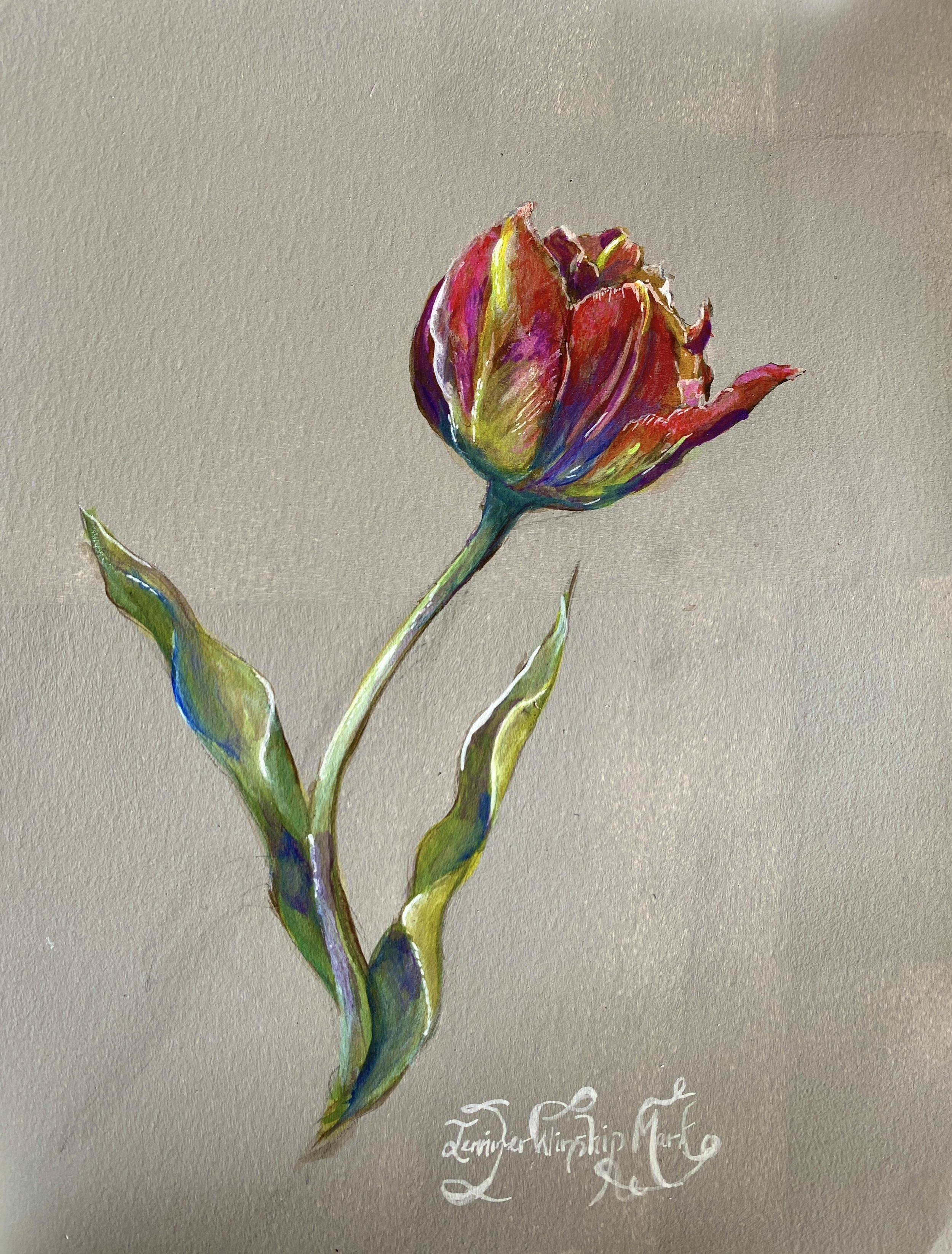 Tulip V