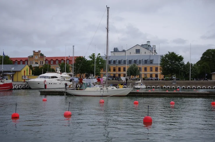 IMGP3549.JPG