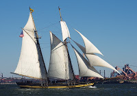 IMGP4078.JPG