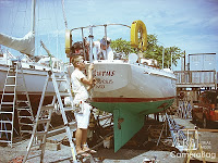 Windvane+Arcturus.jpg