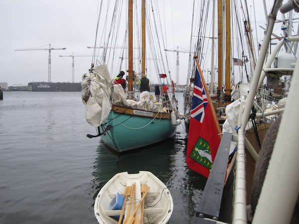 Schooner+race+2009+029.jpg