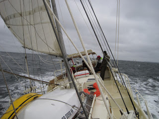 Schooner+race+2009+007.jpg