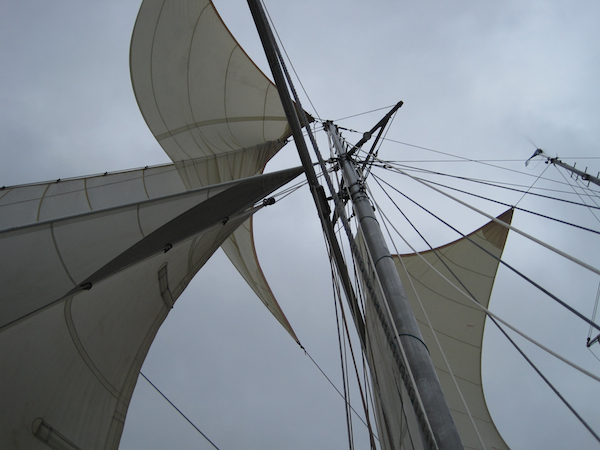Schooner+race+2009+008.jpg
