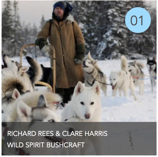 WILD SPIRIT GRAPHIC.jpg