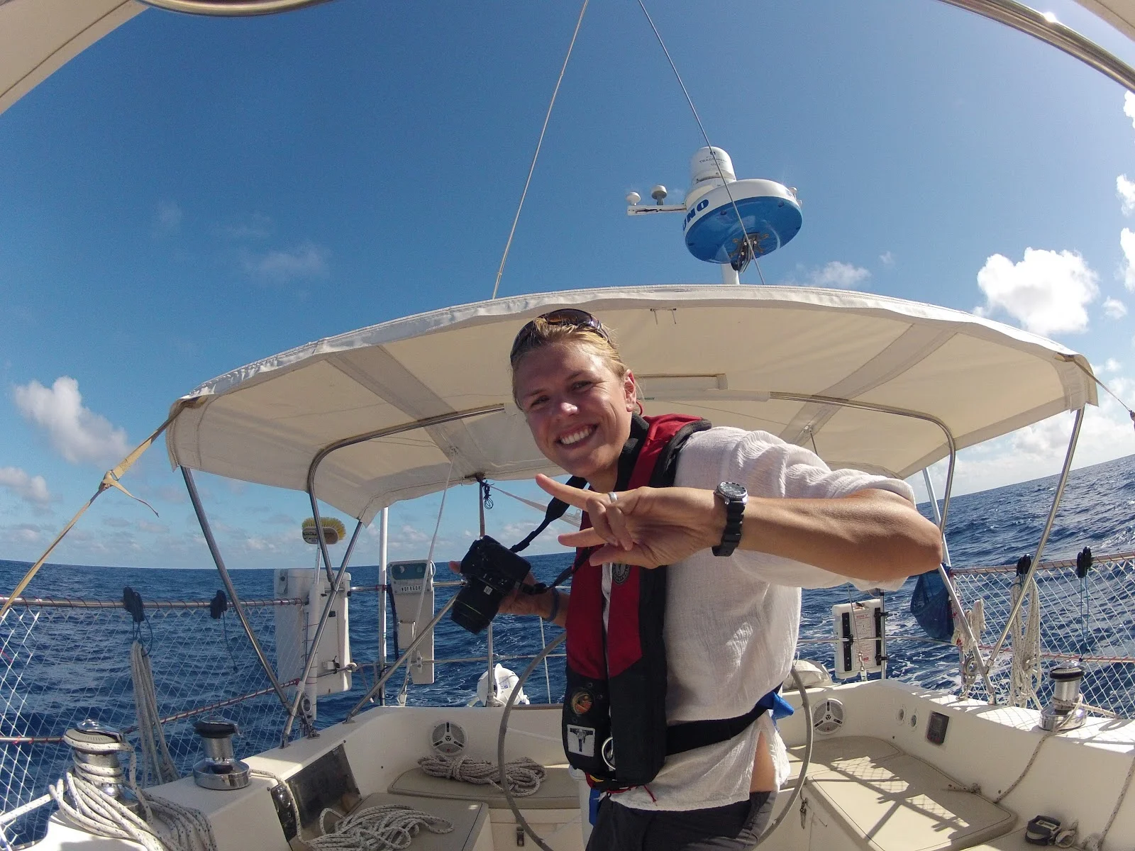 Kinship is Under Way!