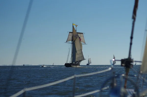 Schooner Race watch with Rodney
