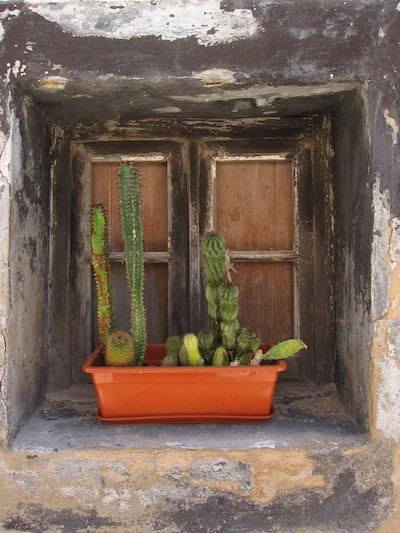 Ännu en dag i solen...