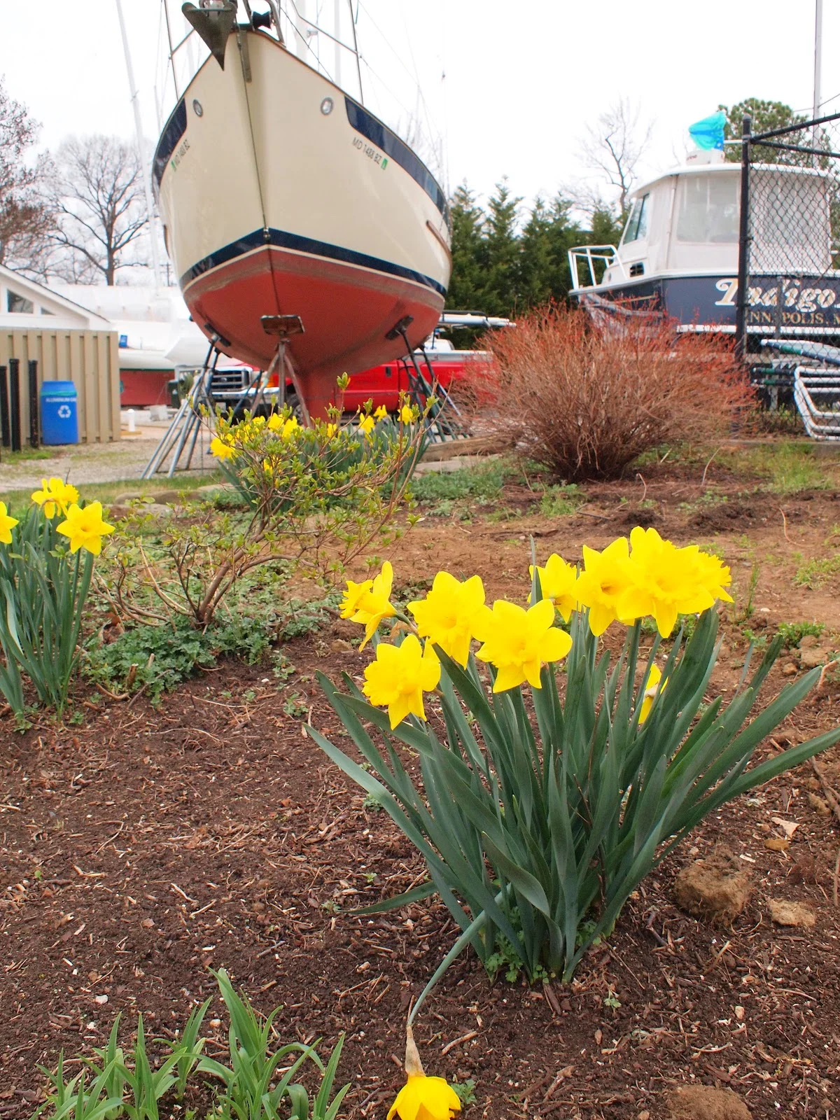 What happens when life happens? Or, the article that did not appear in Spinsheet's May issue.