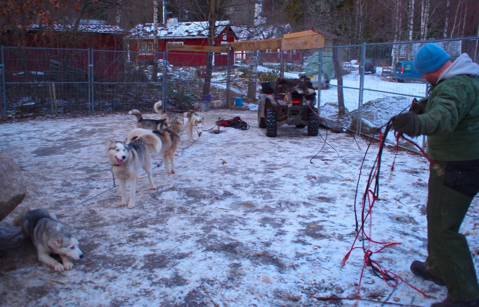 Friday Column: Sled-Dogging