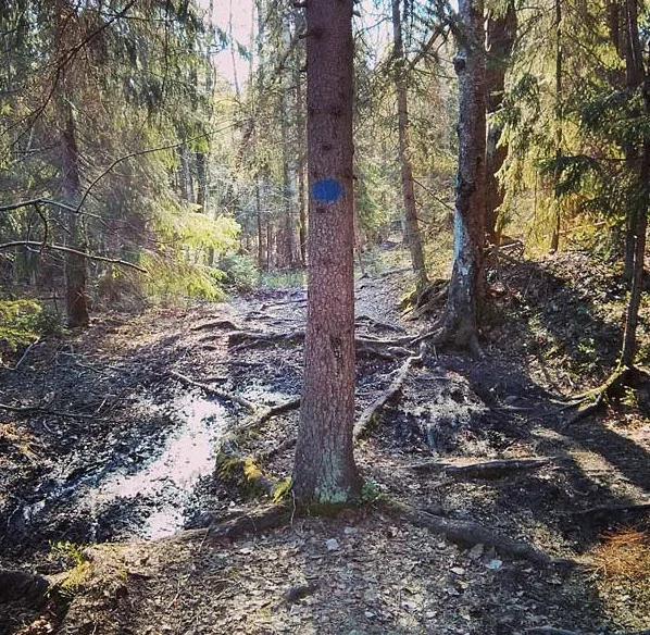 Semestern har börjat - 27 km löpning!