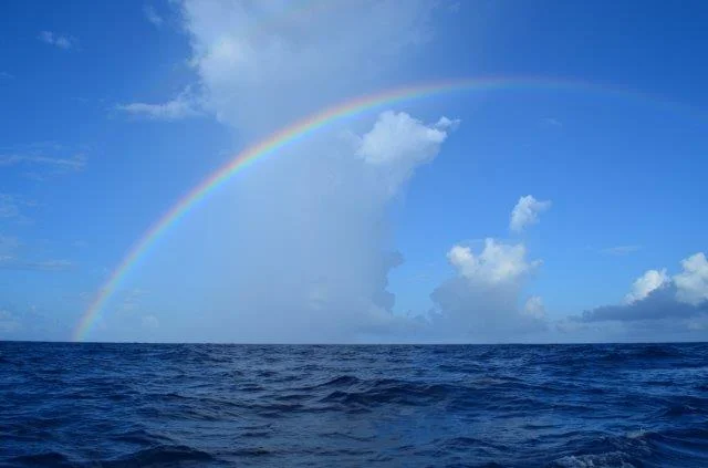 Slow Progress for the Caribbean 1500 Fleet