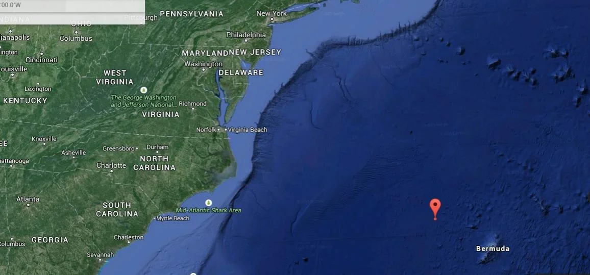 Blue Heron - 2015.06.08 