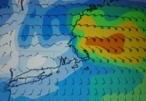 A Gale or a Lobster?