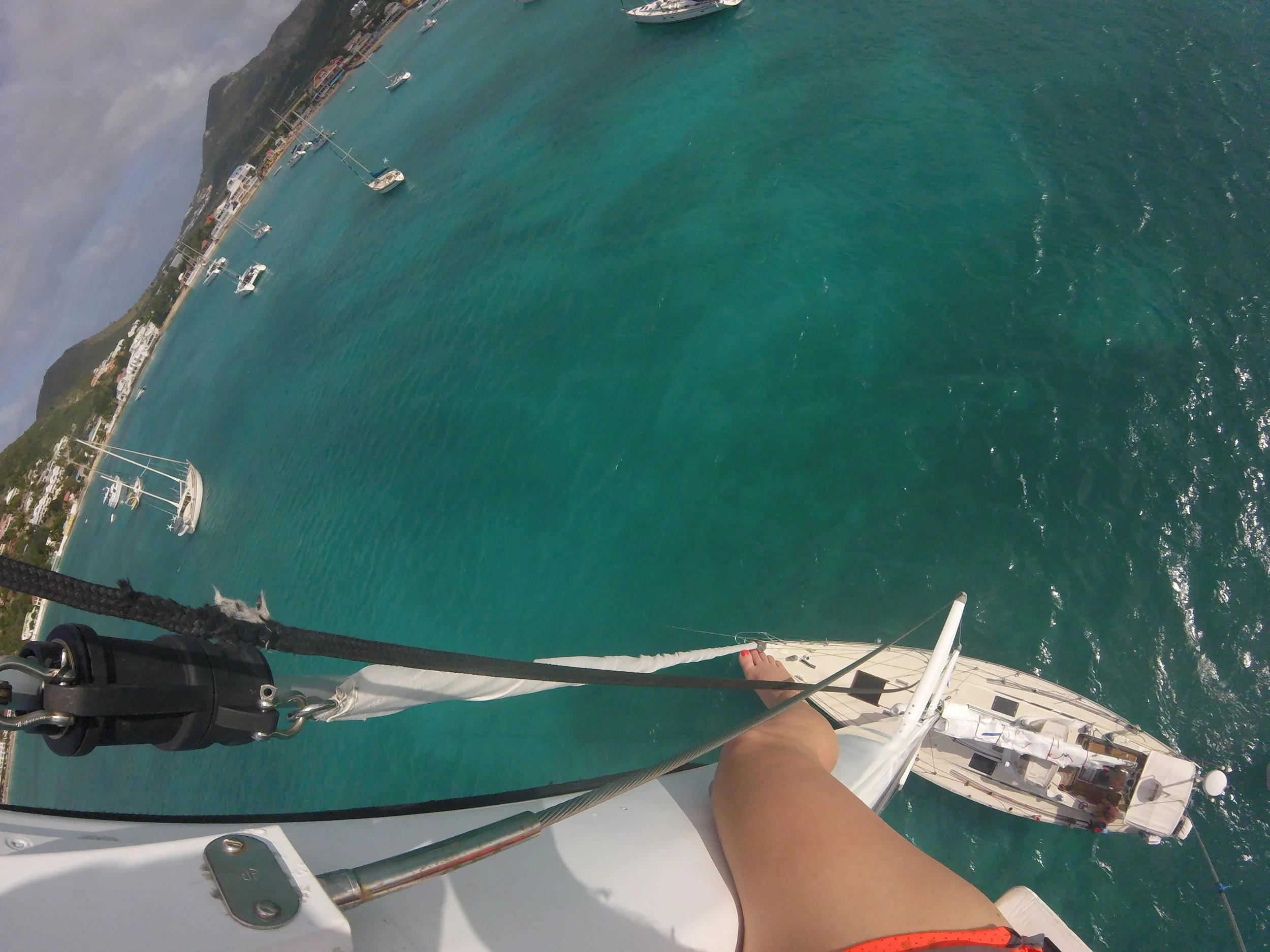 Guest Post: Liz K. (the intern: POV)