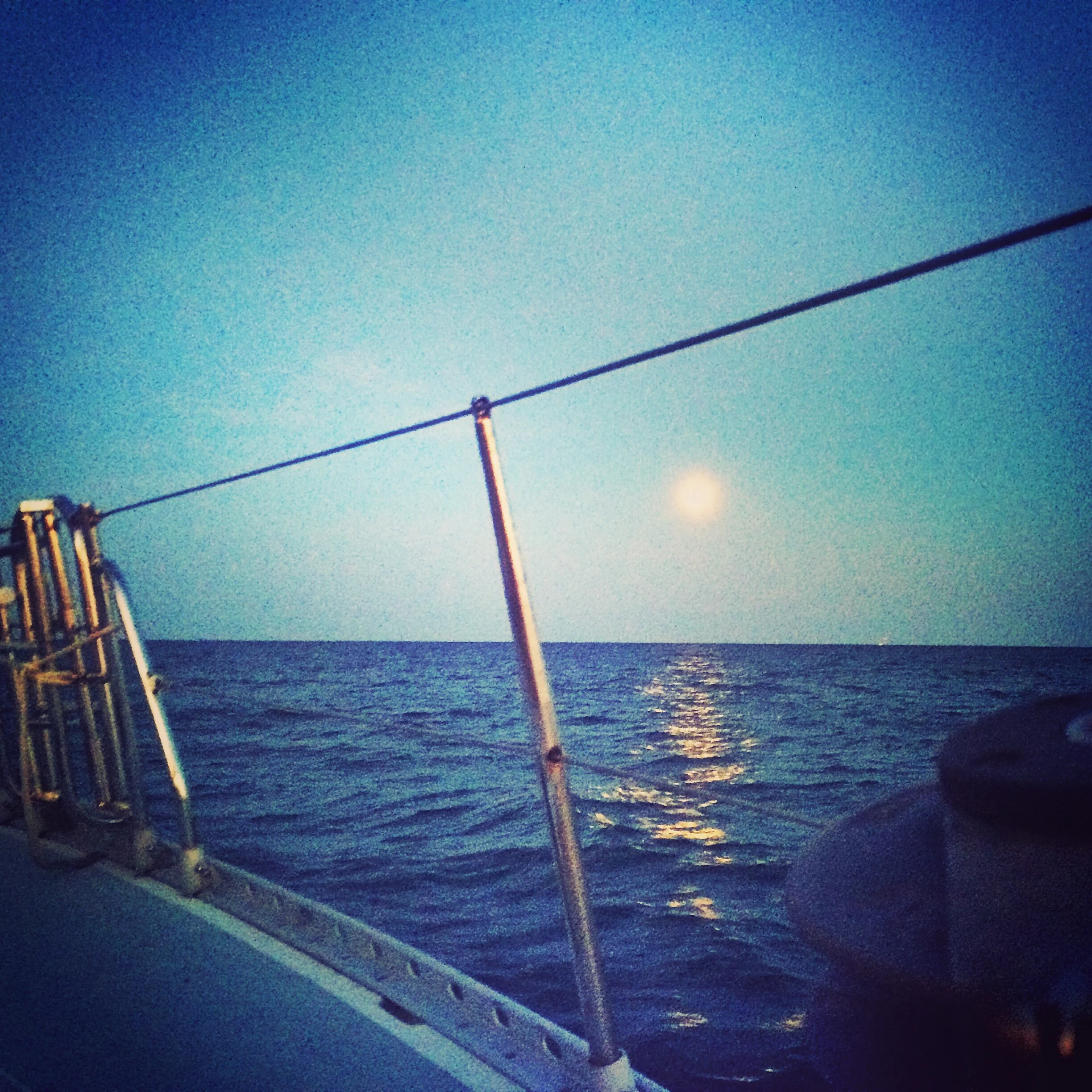 The nearly-full moon just before dawn today.