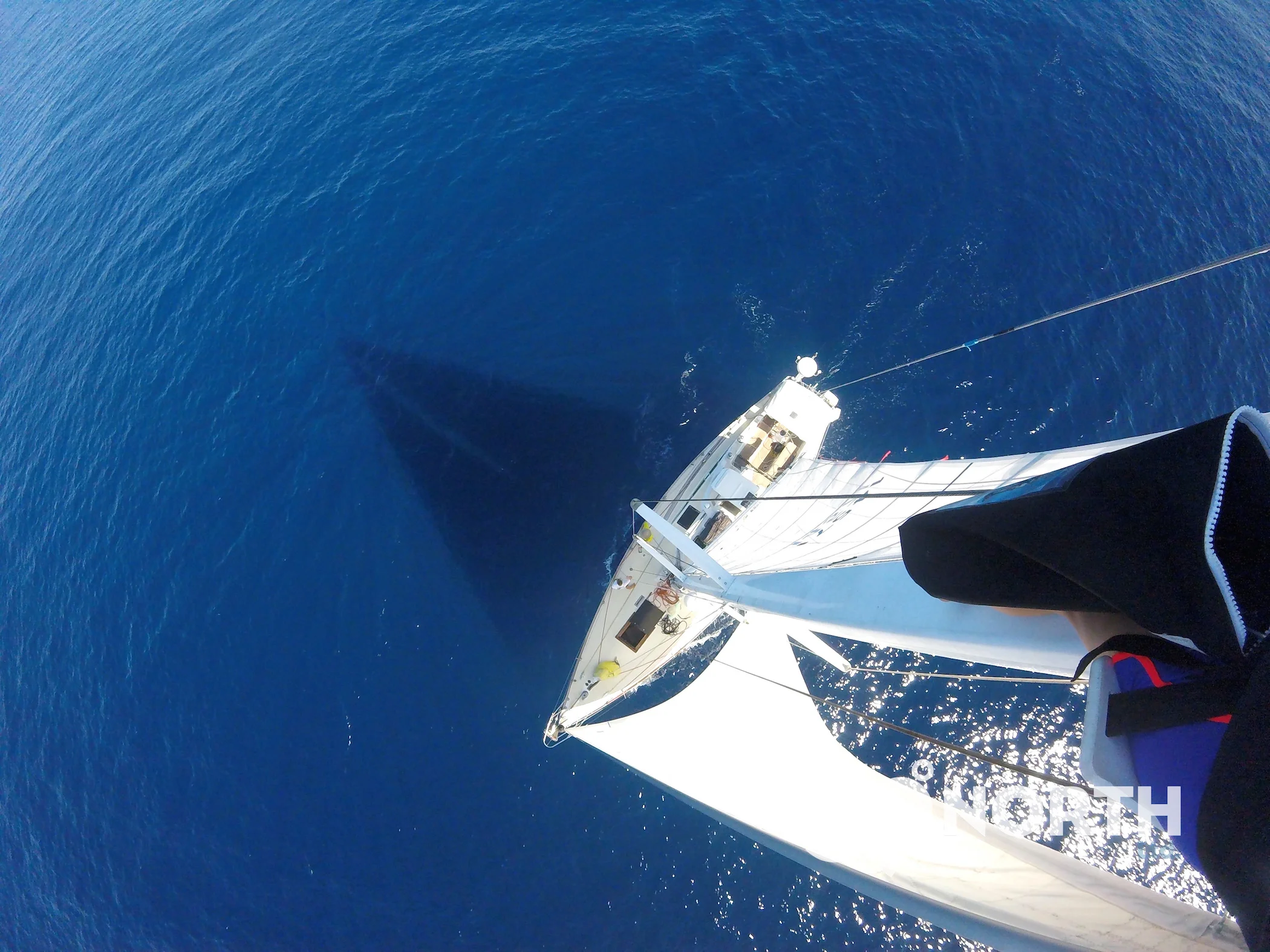 Photo by Liz from the top of the mast