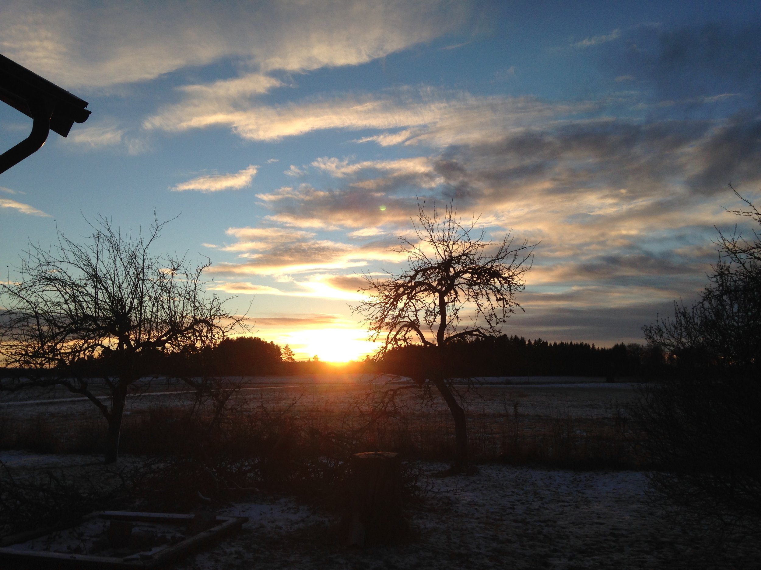 Sunsets are pretty on land as well! This is 14.30 in the afternoon over at 59°North and the sun is about to set... Lots of darkness! 
