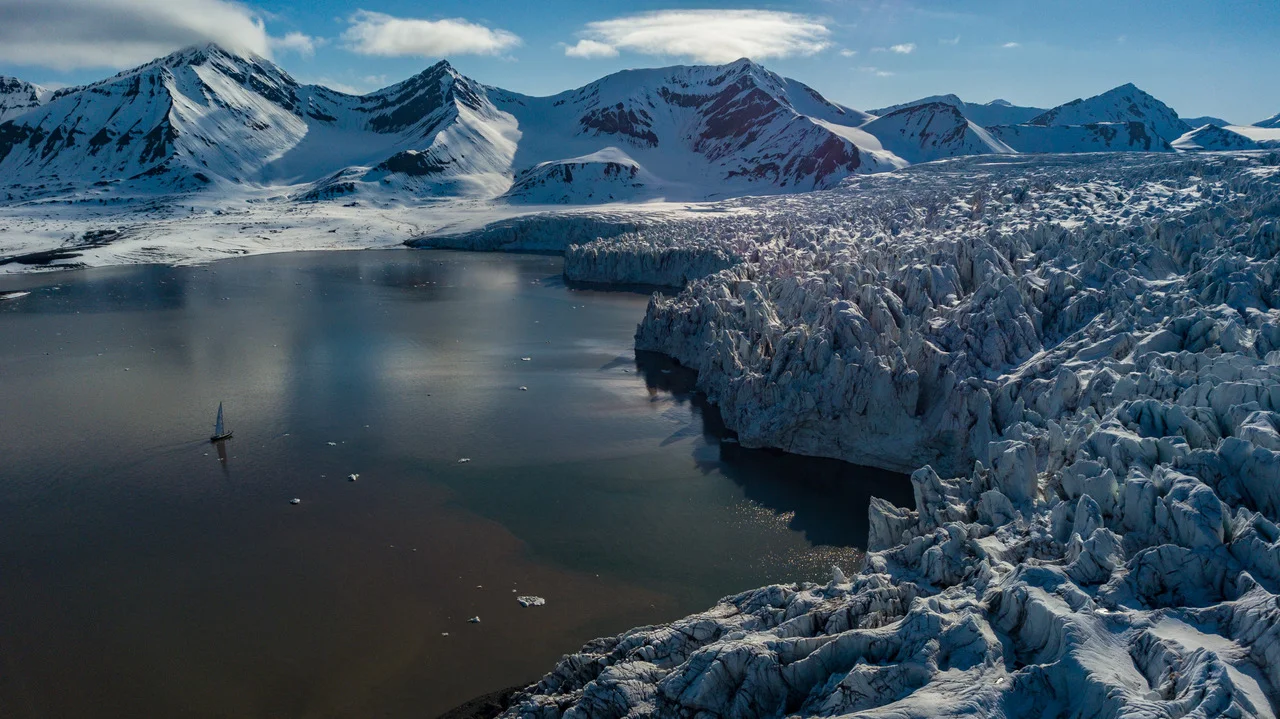 Isbjorn at Ymerbukta glacier