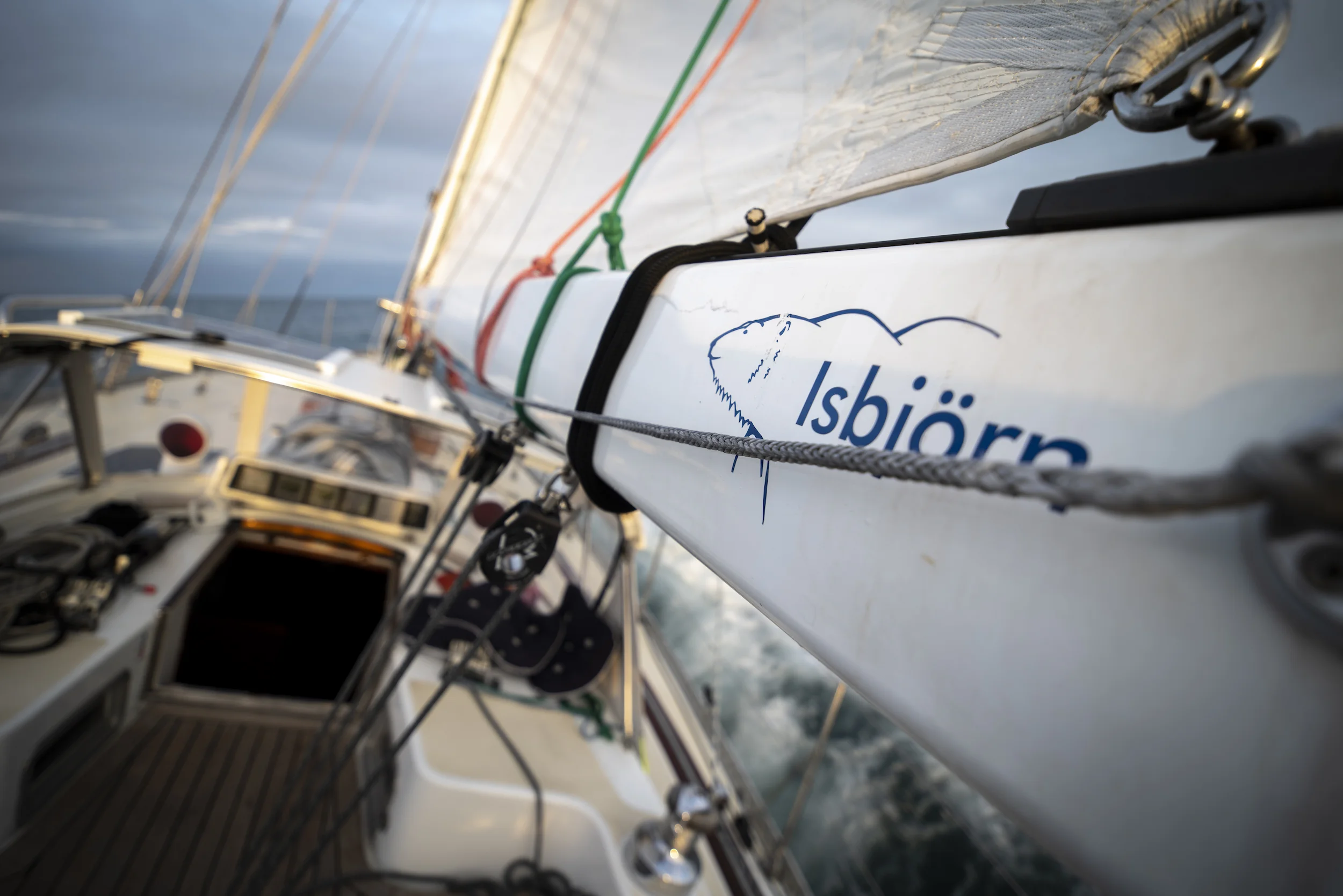 Isbjorn Boom Sunset_2500px.jpg