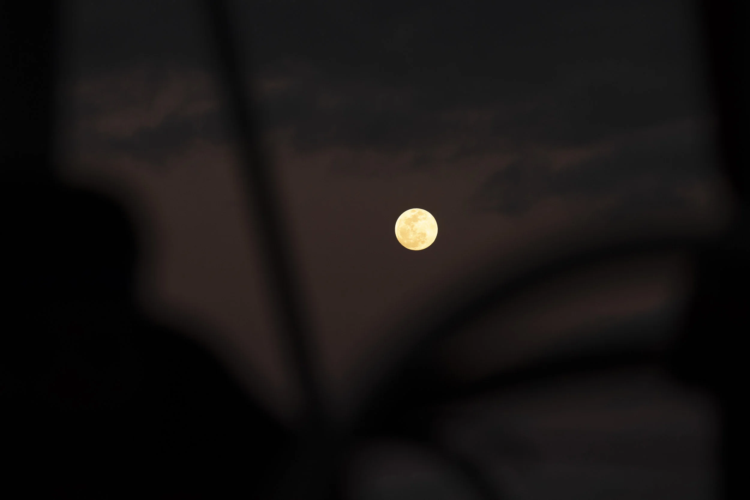 Full moon early in the passage. This was the night of the full lunar eclipse, a once-in-a-lifetime experience at sea on a clear night. It was stunning.