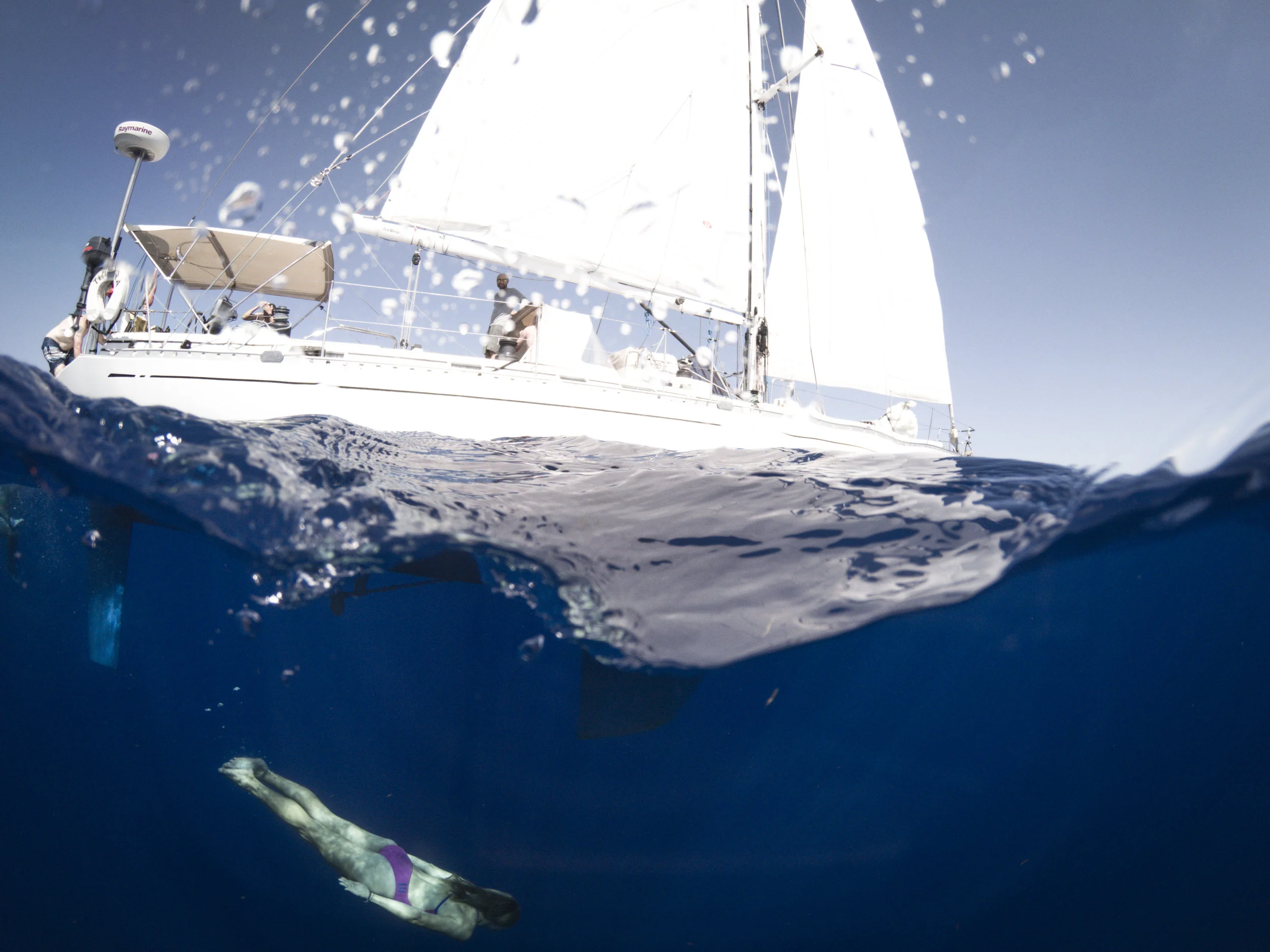 19.04.21_Mia Dolphin Dive.jpg