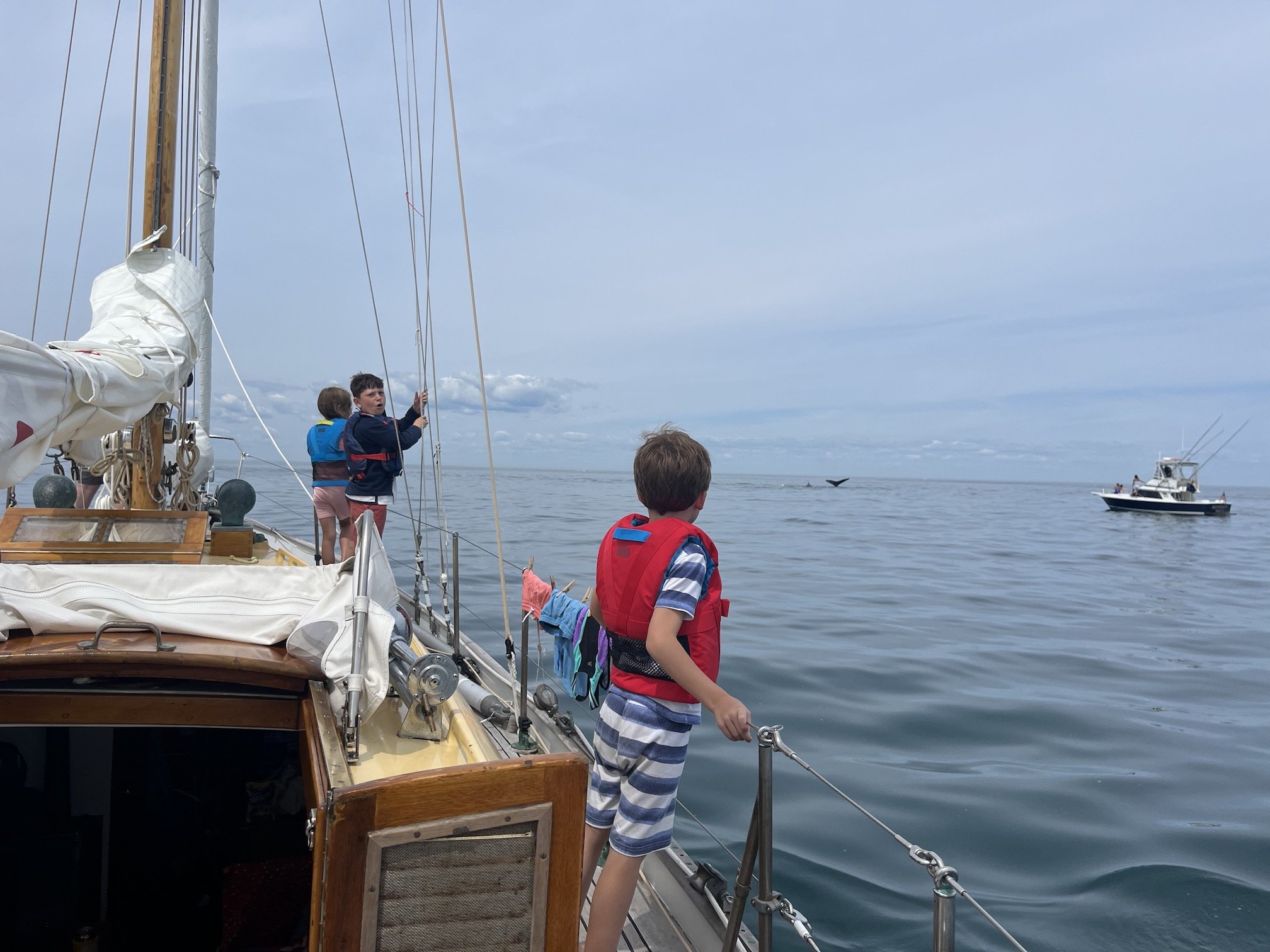 whale watching.JPG