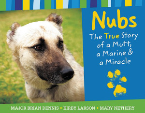 SpotMagazine_Dec2009_BookReview_NubsBookCover.jpg