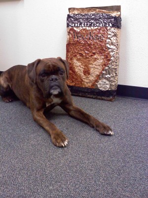SGNW's Kristina Holven's main man Flint