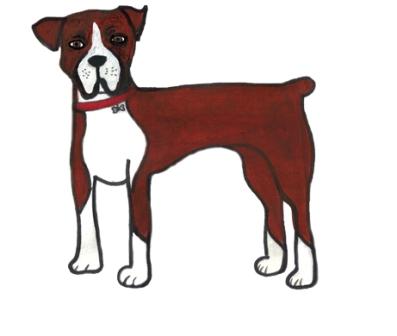 boxer.jpg