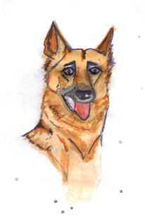 german shephed drawing.jpg