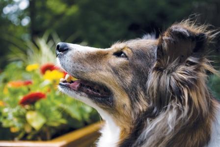 Holistic Pic 1.jpg