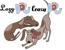 LazyCrazy1.jpg