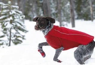 Ruff Wear Apparrel.jpg