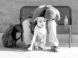 HomelessShelter-grey.jpg