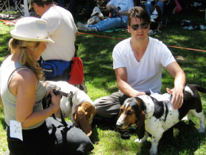Basset_3.jpg