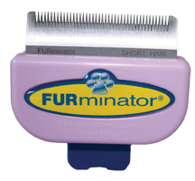 fur2.jpg