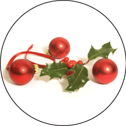 holiday_Holly.png