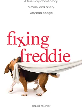 Fixing Freddie book.jpg